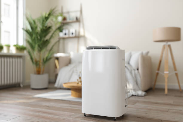Best Ductless HVAC repair  in Hornsby Bend, TX